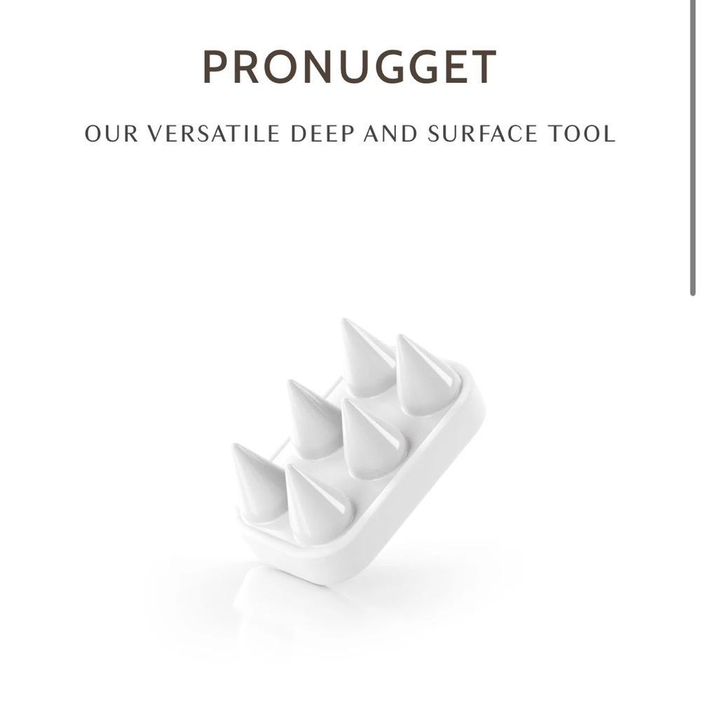 Ashley Black ProNugget Tool